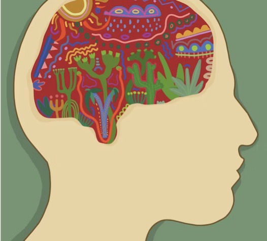 How to Get Diagnosed with ADHD as a Woman